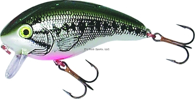 Picture of Mann's Bait Company Baby 1-Minus Crankbait, 2 1/4", 1/4 Oz, Tennessee Shad