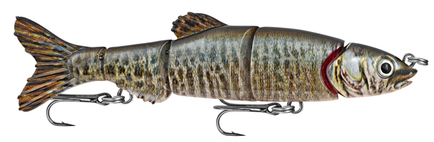 Picture of Matzuo Doragon 6" Tiger Minnow