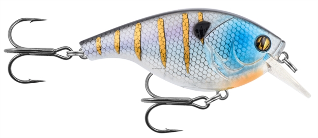 Picture of Matzuo Furiko Pendulum Square Bill 2.5" Bluegil