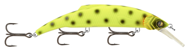 Picture of Matzuo Kinchou 18 Yellow Spots