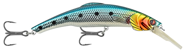 Picture of Matzuo Kinchou 7 Chromatic Shiner