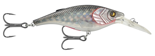 Picture of Matzuo Kinchou Shad 7 Shad