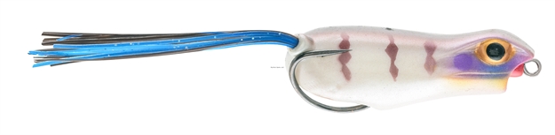 Picture of Matzuo Kroak Frog 2" Clear Gill