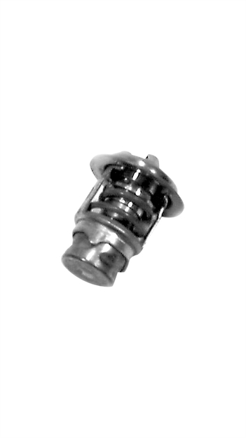 Picture of Mercury Marine Thermostat 120 Deg