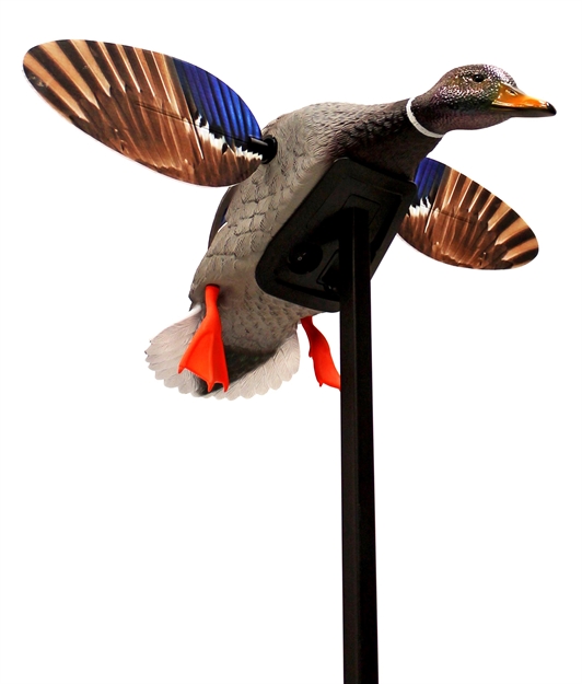 Picture of  Mojo Outdoors Hw24703p Elite Series Mini Mallard Drake Species Multi Color Plastic 816740003924