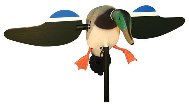 Picture of Mojo Outdoors Motorized Mallard Spinning Wing Drake Decoy, 4' Support Pole, 6V Rechargeable Battery