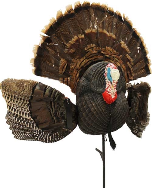 Picture of Mojo Outdoors Scoot N Shoot Max Turkey Decoy HW2513 816740004365