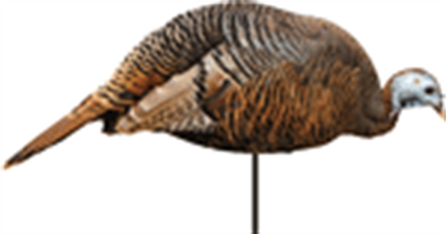 Picture of Montana Decoy CO Decoy Turkey Hen Dinner Belle 0043        