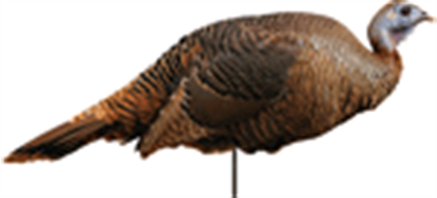 Picture of Montana Decoy CO Decoy Turkey Spring Fling Hen 0042 851234000423
