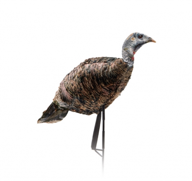 Picture of Montana Decoy Co. Miss Pur-Fect XD 3D Hen Dec