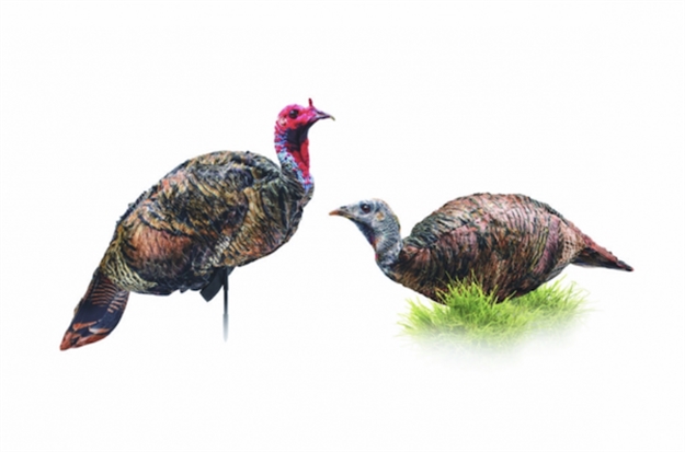 Picture of Montana Decoy Co. Purr-Fect Pair XD Hen&Jake