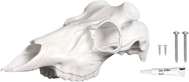 Picture of Mountain Mike's Mike's Deer Skull Kit Skull Master Large MMRSML