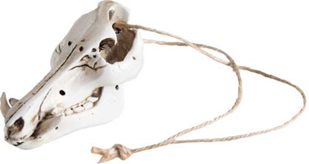Picture of Mountain Mike's Mike's Mini Wild Boar Skull Mirror/Ornament Hanger Mmrboris