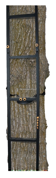 Picture of Muddy Woodsman Quick Steps XL 20' Climbing Ladder
