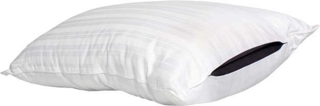 Picture of Nemo  Pillow Safe BY  Ventures