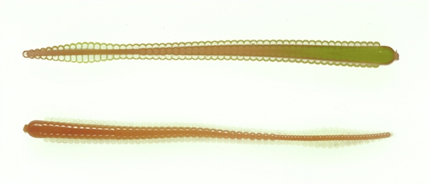 Picture of Netbait Lures 4.75 Contour Worm 10Bg Brn Chart