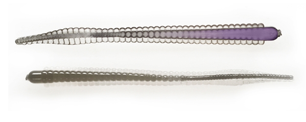 Picture of Netbait Lures 6" Contour Worm 10Bg Smoke Purp