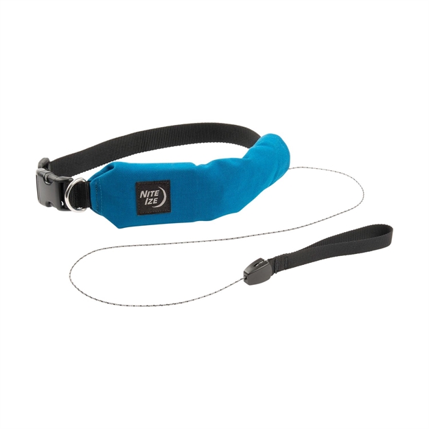 Picture of Nite Ize Raddog All-In-One Collar And Leash Medium Blue