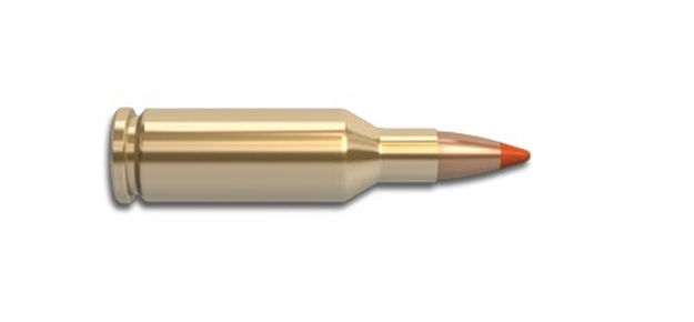 Picture of Norma Brass .22 Ppc Usa Shooter Pack (50 Per Box) 10257107