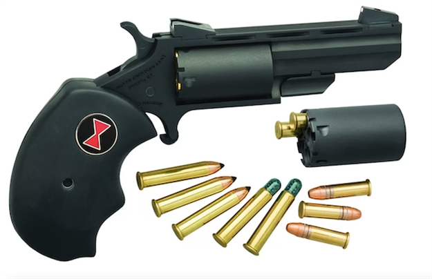 Picture of North American Arms 22Lr/22Mag 2" Black Widow Crkt NAABWCPVD