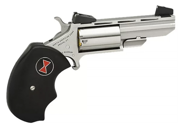 Picture of North American Arms Mini Black Widow 22Lr 2"Vr S AS NAA-BWLA 744253000416