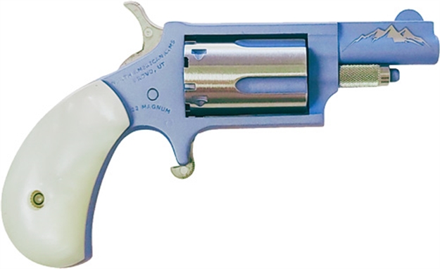 Picture of North American Arms Mini-Revolvr 22Wmr 1-5/8" S/S Winter Edition (Talo) NAA22MTWE