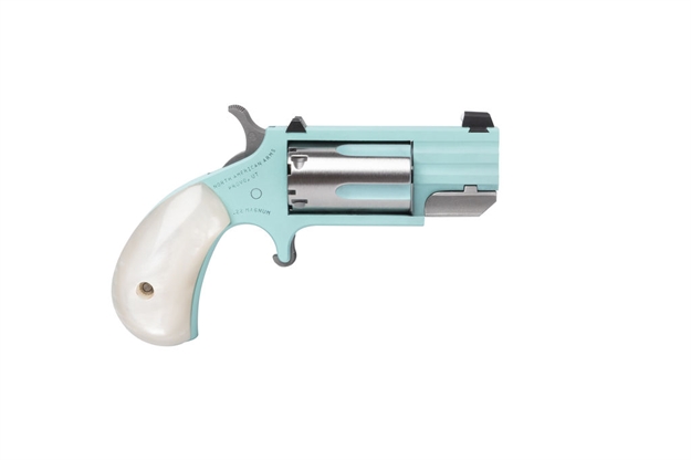 Picture of North American Arms Pug 22M SS 1In HB FS TQ DE NAA-PUG-DTQ-W