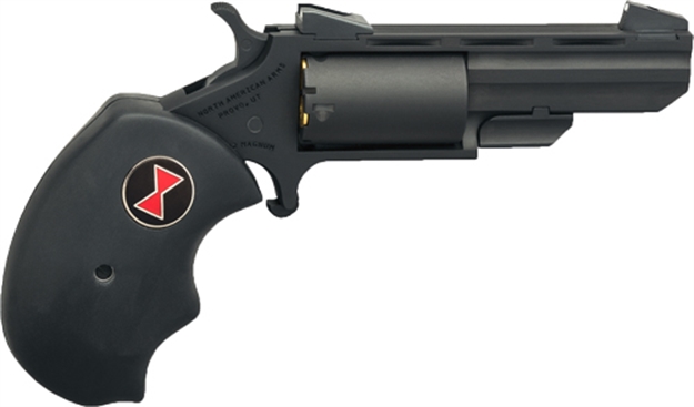 Picture of North American Arms 22Mag 2" FS Black Widow Crkt NAABWMPVD 744253003110