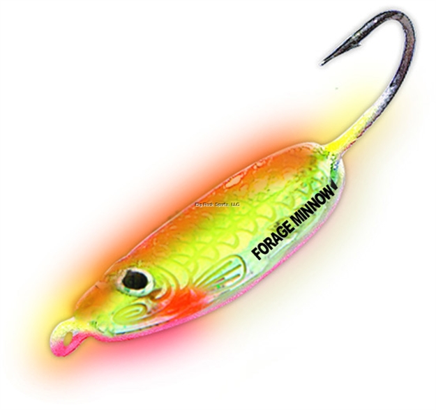 Picture of Northland Fishing Tackle Holographic Forage Minnow Jig #8 Super-Glo Chub 2Cd