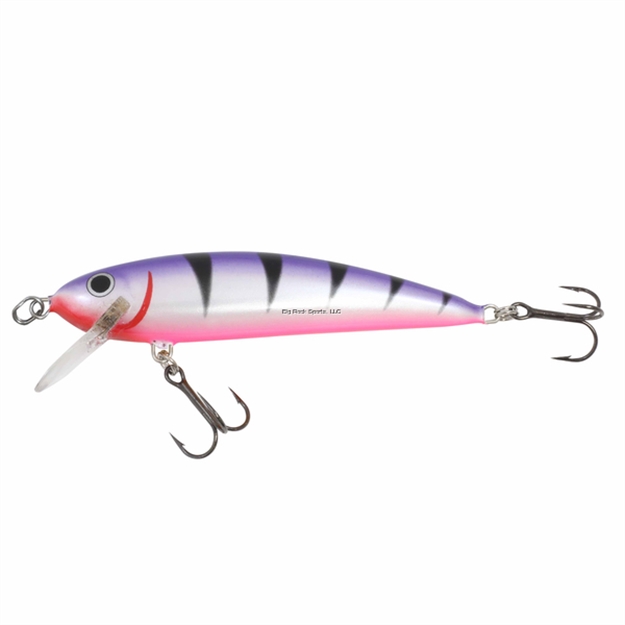 Picture of Northland Rumble Shiner, Floating-Diving, 3-3/4, 5/8 Oz, 2 #3 Treble Hks, Diving Depth 15-20', Purple Tiger