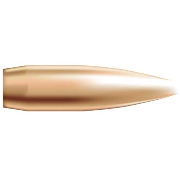 Picture of Nosler 22 Caliber (0.224'' ) 69Gr Hollow Point Boat Tail 1,000/Box