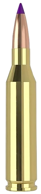 Picture of  Nosler 40041   243Win 70Gr Ballistic Tip Varmint 20 Per Box/10 Case