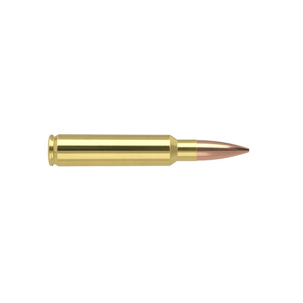 Picture of  Nosler 60031 Match Grade  33Nosler 300Gr Custom Competition Hollow Point Boat Tail 20 Per Box/10 Case 054041600316