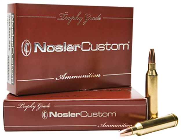 Picture of Nosler 60060 Trophy Grade  300H&Hmag 180Gr Nosler Accubond 20 Per Box/10 Case 054041600606 -