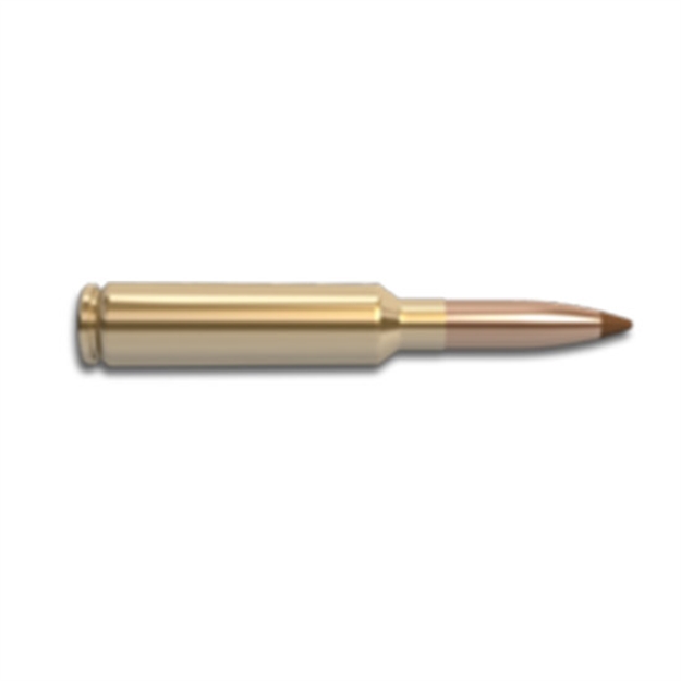 Picture of Nosler Ammo 6.5X284 120Gr Ballistic Tip