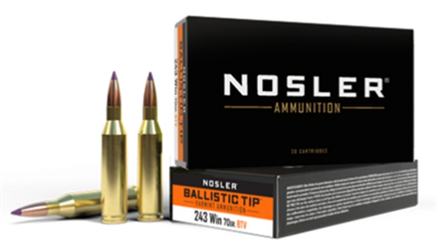 Picture of  Nosler 40041   243Win 70Gr Ballistic Tip Varmint 20 Per Box/10 Case 054041400411