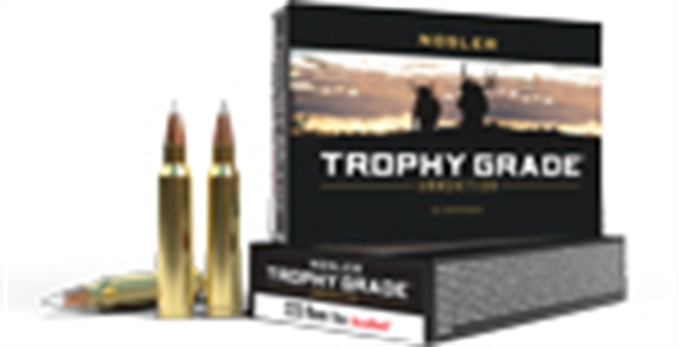 Picture of Nosler Bullets Trophy Grade 223 70Gr Accubond SP 20Rd 20Bx/Cs 61036