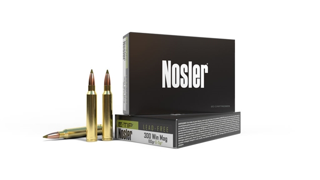 Picture of  Nosler 40038 E-Tip  300Winmag 180Gr E Tip Lead Free 20 Per Box/10 Case
