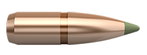 Picture of Nosler Rifle Bullets E-Tip Lead Free 22 Cal 55Gr (50Ct)