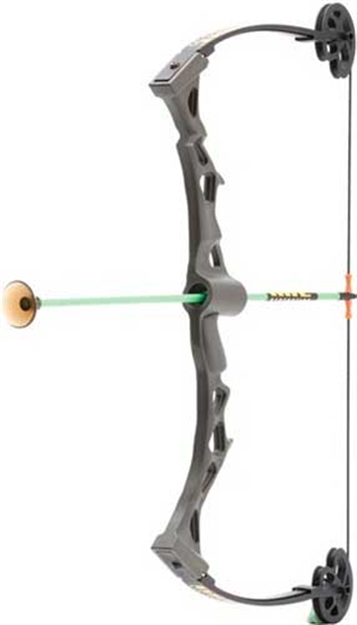 Picture of Nxt Generation Toys Generation Girls Gry Rapid Riser Compound Bow W/3 Arrows