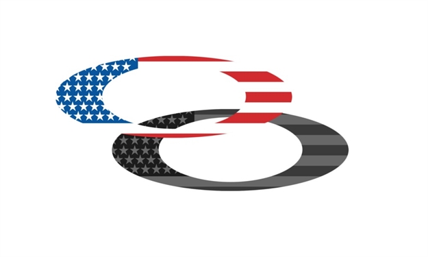 Picture of Oakley 9" Foundation Logo Sticker  Usa Flag