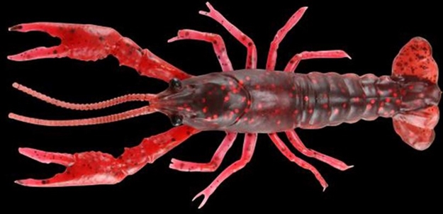 Picture of Okuma Fishing Tackle 3D Craw 3" 4Pk Red