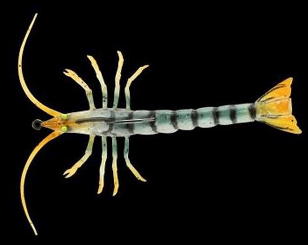 Picture of Savage Gear Tpe 3D Shrimp, 4", 1/4Oz, Natural, Sinking