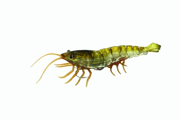 Picture of Savage Gear Hard Body Tpe Legs Shrimp, Brown, 4", 3/5 Oz, Slow Sink