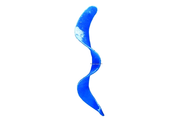 Picture of Otter Curly Long Tails 6 1/2", Blue 8/Jar
