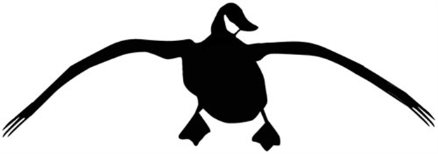Picture of Outdoor Decals Decals Landing Goose 4"X12" White