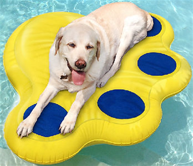 Picture of Paws Aboard Lazy Raft Large