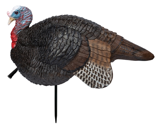 Picture of  Primos 69074 Lil' Gobstopper Jake Turkey Species Multi Color