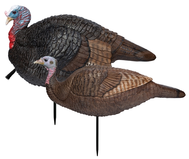 Picture of  Primos 69075 Lil' Gobblestopper Jake & Hen Combo Turkey Species Multi Color
