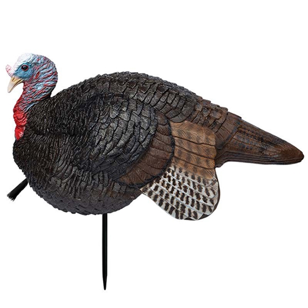 Picture of  Primos 69074 Lil' Gobstopper Jake Turkey Species Multi Color